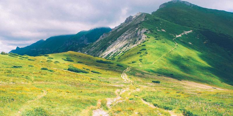 从《原神》到《幻兽帕鲁》：游戏社区如何成为社交平台的迷因工厂？