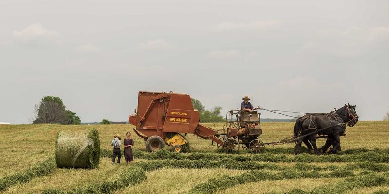 从“绝绝子”到“电子榨菜”：解码Z世代网络黑话的生成机制与圈层壁垒
