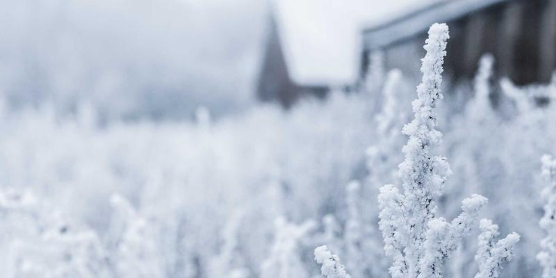 从论坛到社交媒体：网络社区中的“米姆谈78”现象解析