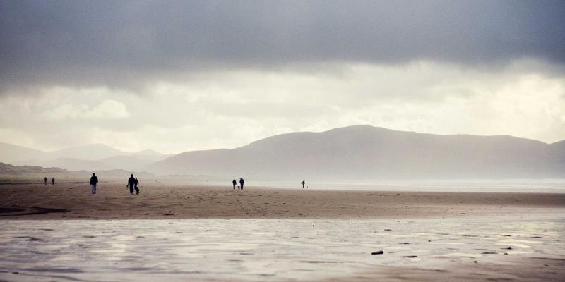 算法驯化与反驯化：网络社区、社交平台与论坛中迷因生态的演变博弈