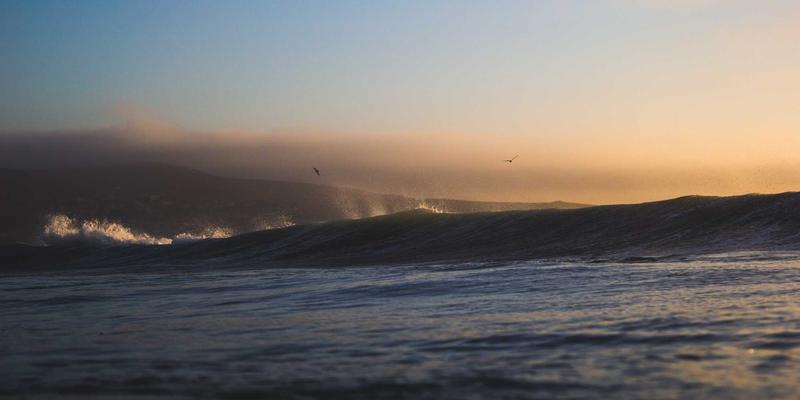 米姆谈35：解码用户行为密码，重塑社区文化生态