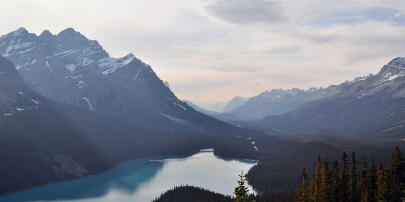 米姆谈53：兴趣社区如何重塑社交平台的用户行为逻辑