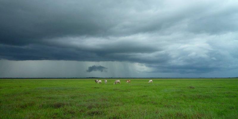 米姆谈62：从社区文化到用户行为，一个数字Meme的传播密码