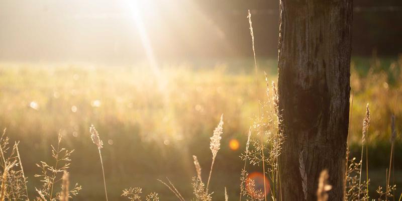 米姆谈67：从社交迷因解码当代用户行为密码