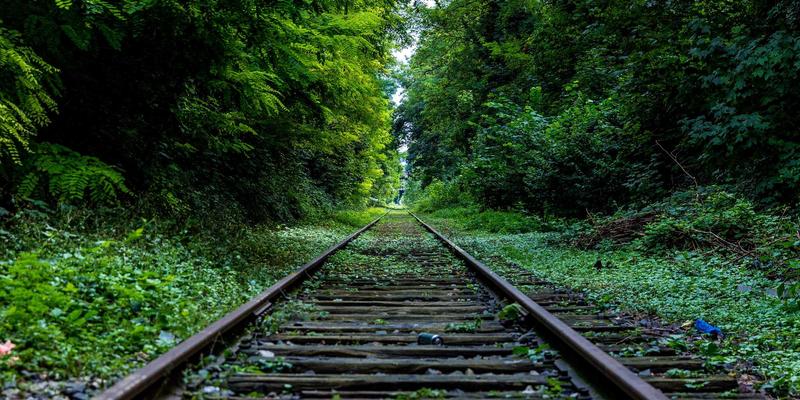 米姆谈68：网络社区的集体记忆与文化密码