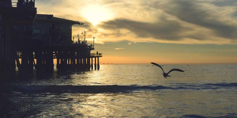 米姆谈6：迷因的力量与数字时代的文化密码