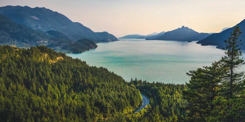 米姆谈87：从数字迷因到网络社区的集体记忆与身份认同