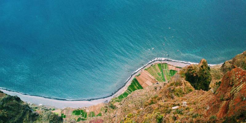 米姆谈：AI迷因革命如何重塑网络社区与创意产业生态