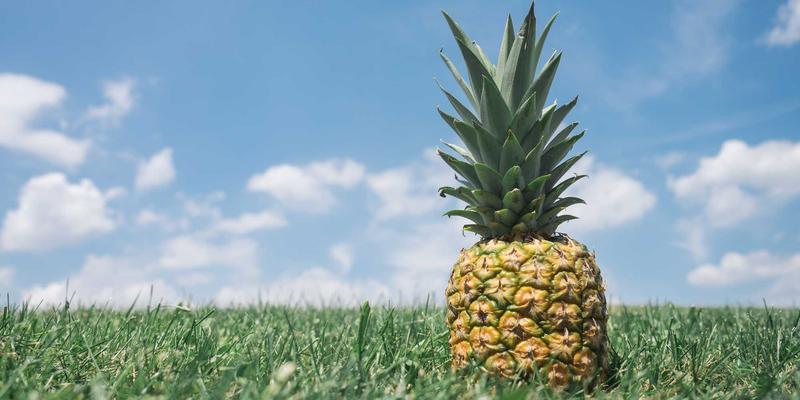 米姆谈：从“东北话梗”到“广东梗”——地域性迷因如何塑造数字时代的社区文化与用户行为