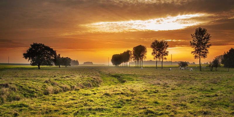 米姆谈：从“梗图”到“梗剧”——长视频平台如何吸纳与重塑迷因文化