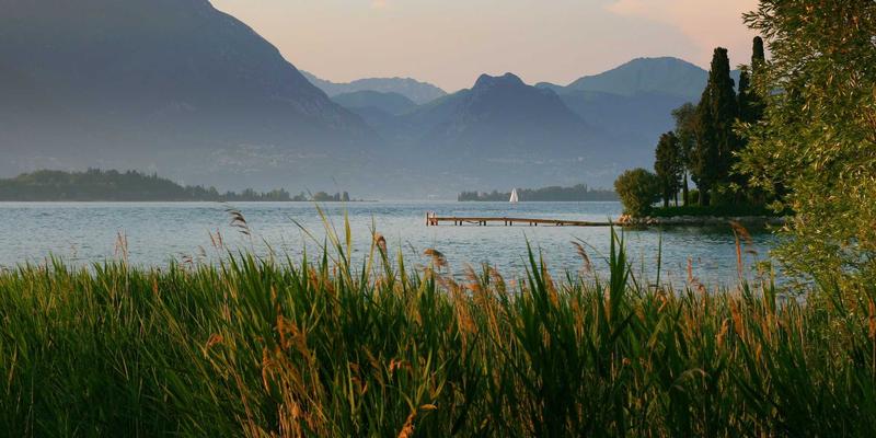 米姆谈：后真相时代的情绪传播——公共事件中迷因如何替代事实成为舆论焦点