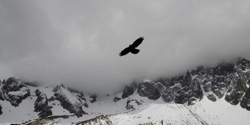 米姆谈：品牌营销的迷因化转型——企业如何融入社区文化，洞察用户行为并规避风险