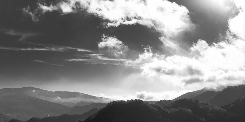 米姆谈：当AI成为迷因制造机，用户行为与创作伦理的范式革命