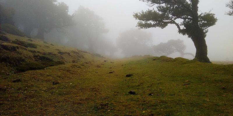 米姆谈：当迷因成为社交货币——分析梗文化在维系社群关系中的功能与价值