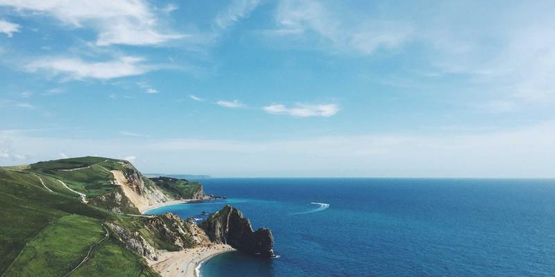 米姆谈：政治迷因如何成为社交平台上的温和抵抗工具