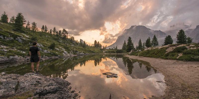 米姆谈：政治迷因的武器化——社交媒体与论坛上的新型舆论战