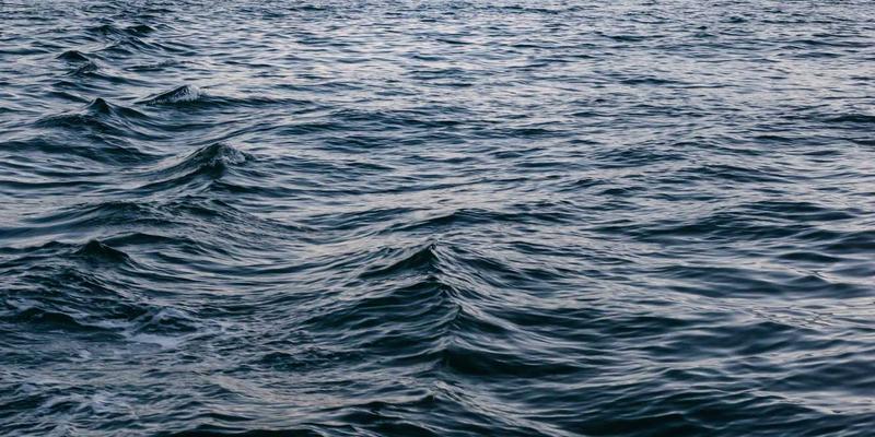 米姆谈：算法如何塑造论坛与网络社区的迷因演化