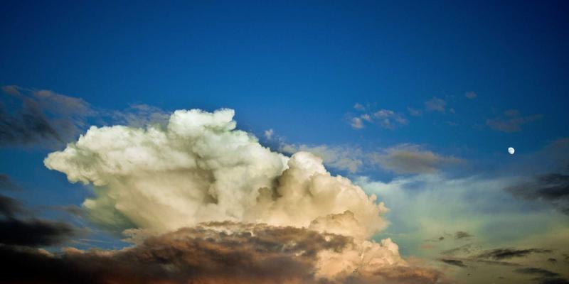 米姆谈：解码Meme现象，洞察社交媒体背后的集体情绪与社会心态