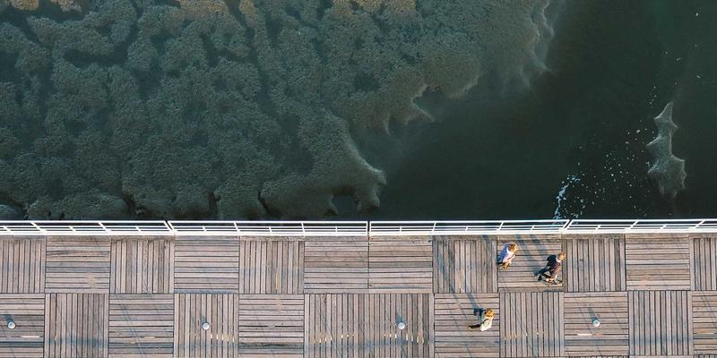 米姆谈进阶:从病毒式传播到社区文化构建的深层逻辑