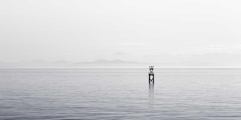 米姆谈：迷因的“盗猎”与重构——社交媒体与论坛中粉丝二创的知识产权迷思