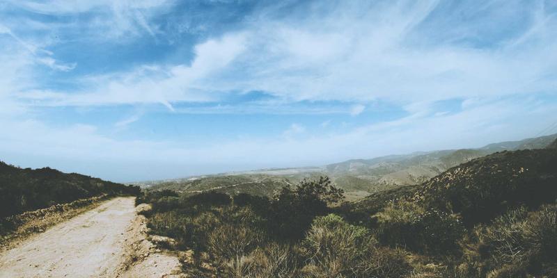 论坛观察：AI生成迷因如何重塑社交媒体用户行为与创作伦理