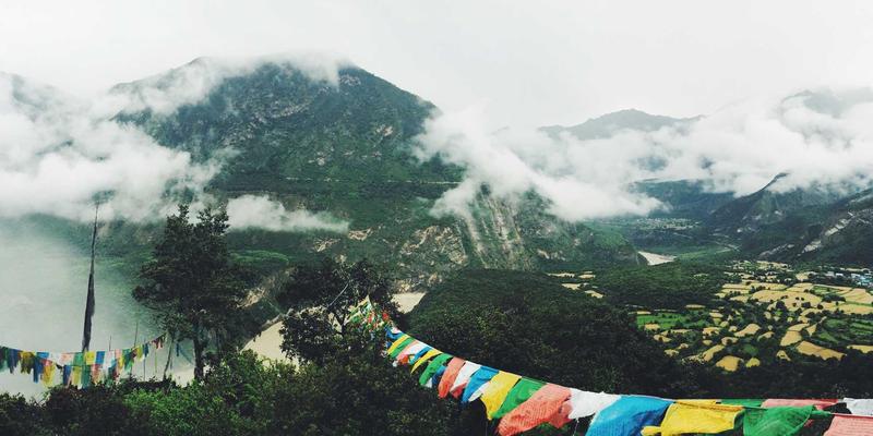 迷因的生命周期：一个网络梗如何在社交媒体中诞生、爆发与沉寂